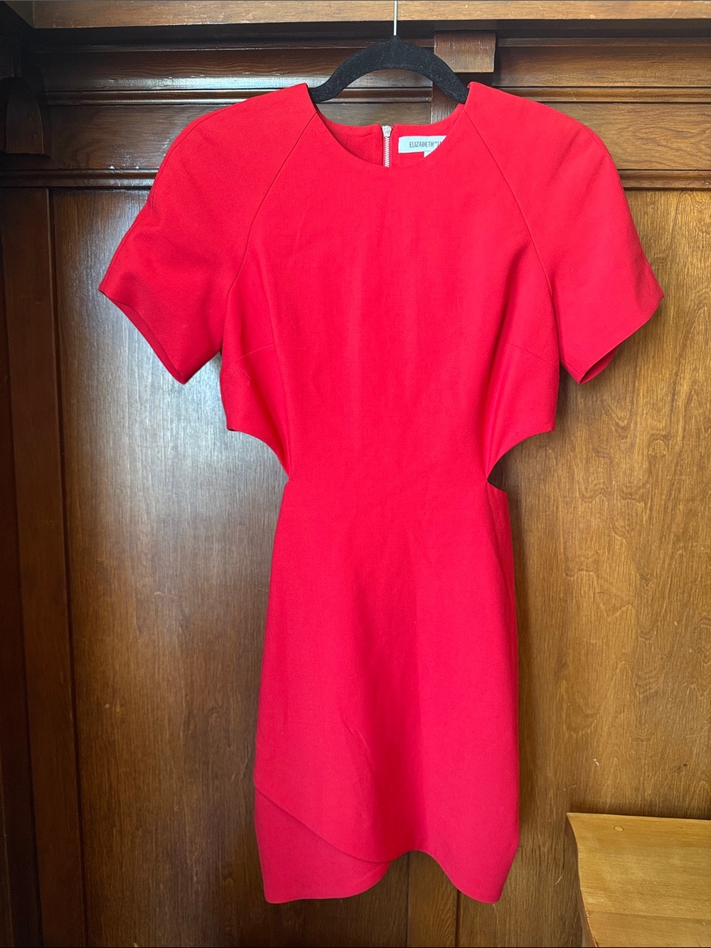 Elizabeth and James Red Mini Dress with Side Cutouts